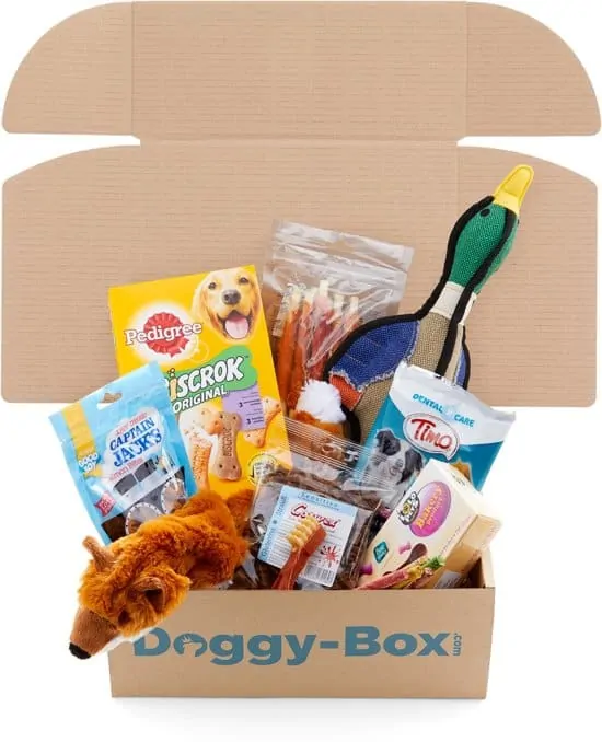 Doggy-box Puppy Verrassingspakket
