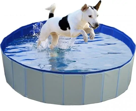 Hondenzwembad Blauw