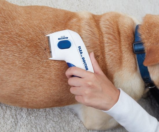 Flea Doctor, elektrische vlooienkam – vachtverzorging katten en honden, vlooien bestrijding